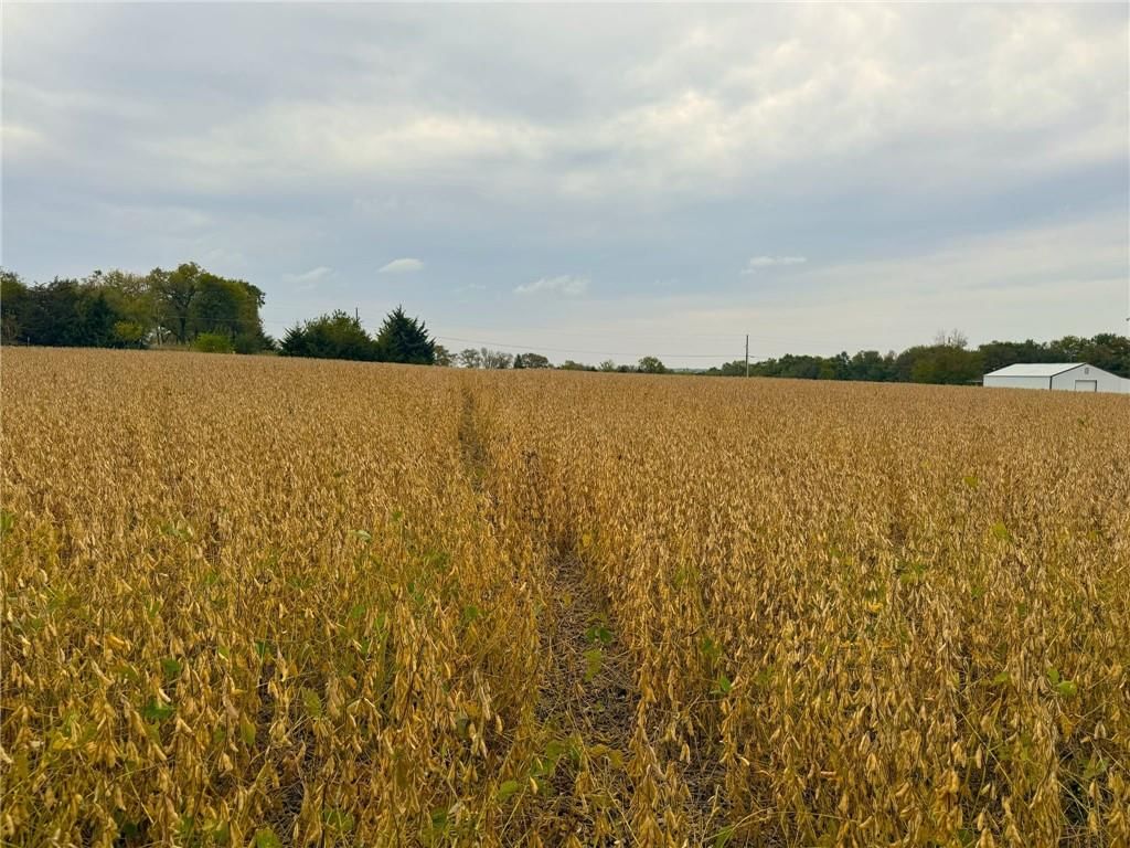 0000 N 1090 Road — photo 3