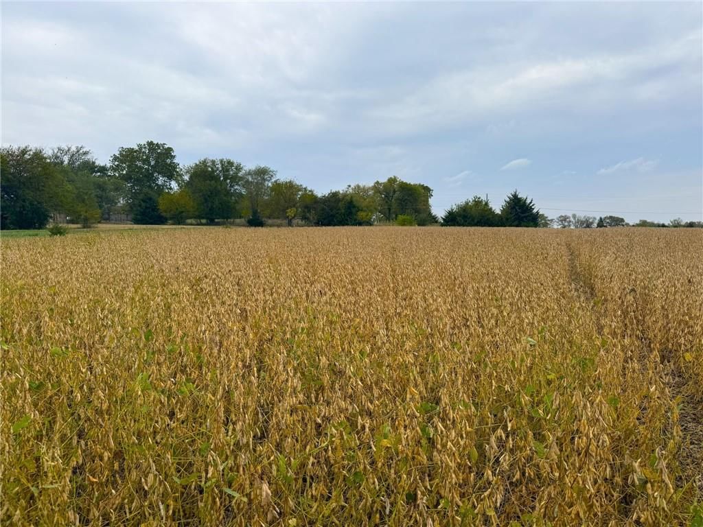 0000 N 1090 Road — photo 4