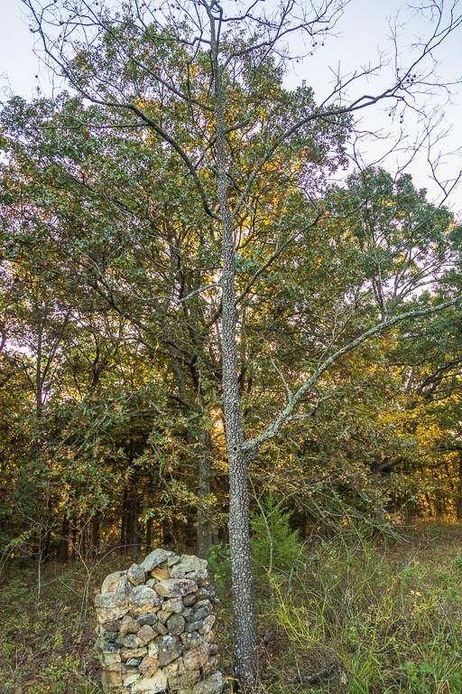 13605 SE 226 Road — photo 33