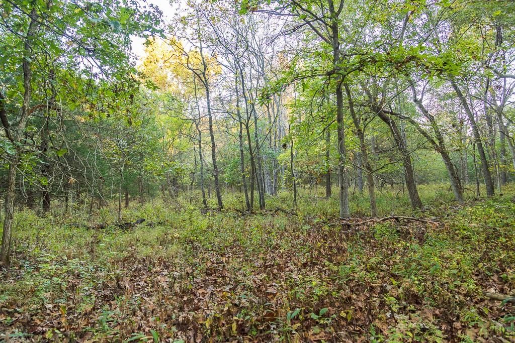 13605 SE 226 Road — photo 38