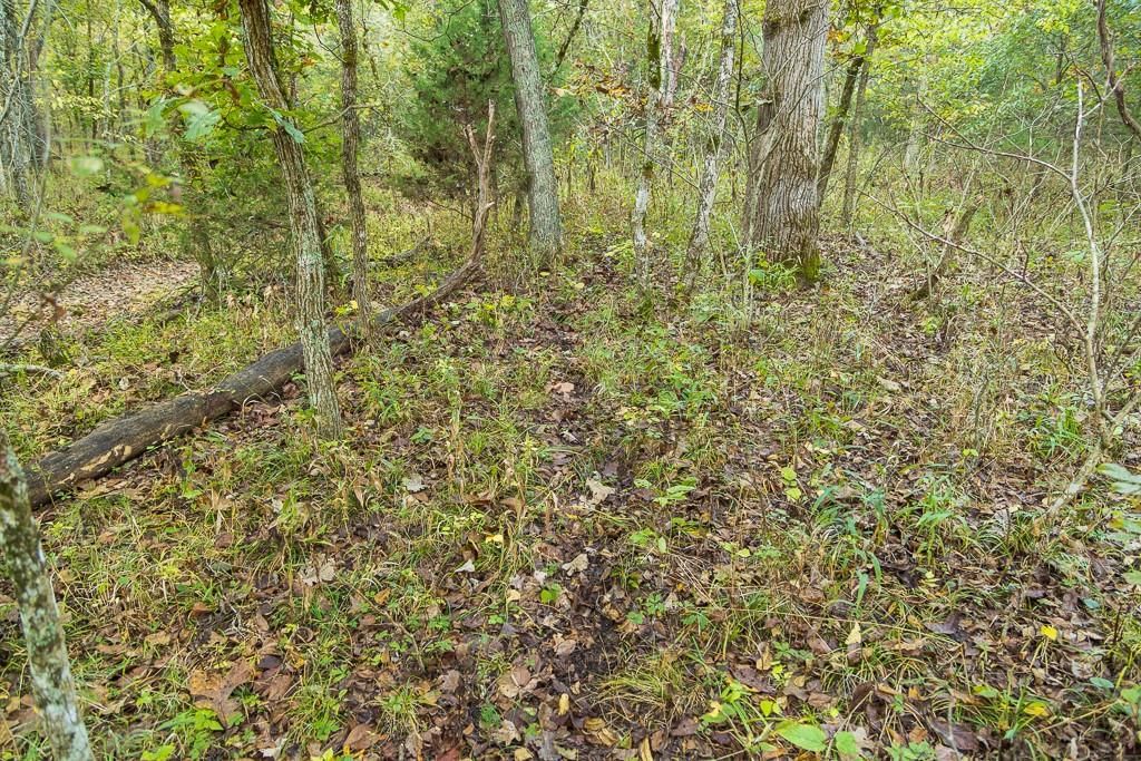 13605 SE 226 Road — photo 43