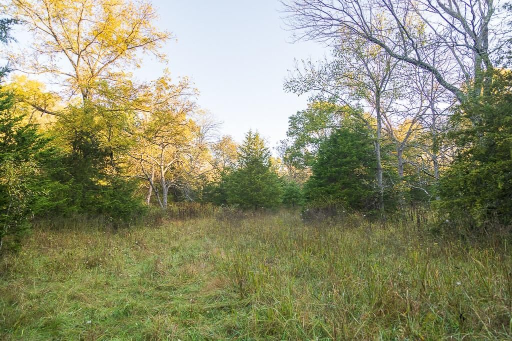 13605 SE 226 Road — photo 45