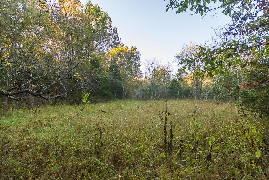 13605 SE 226 Road — photo 51