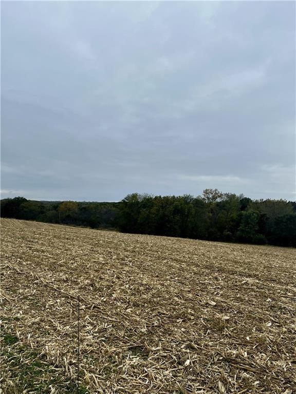 Tract 2 County Road 422 Road — photo 12