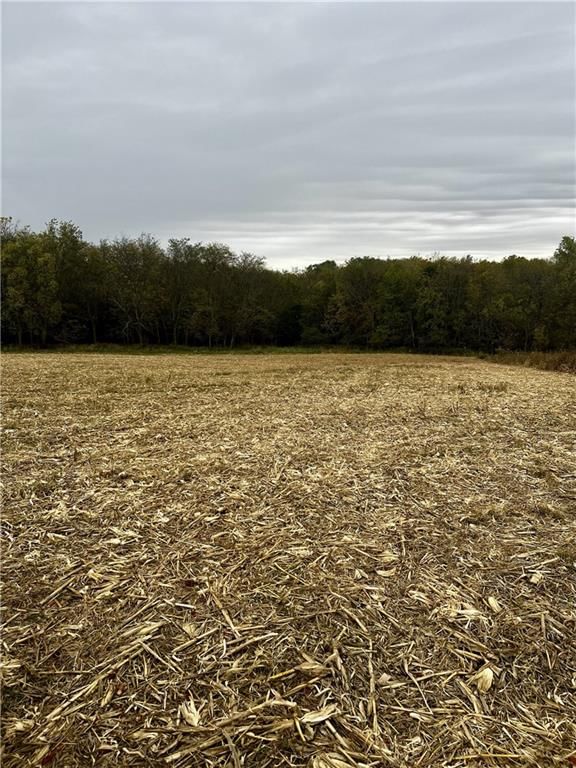 Tract 2 County Road 422 Road — photo 4