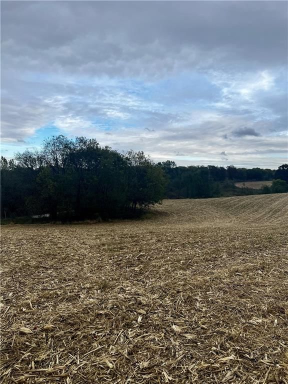 Tract 2 County Road 422 Road — photo 5