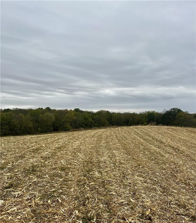 Tract 2 County Road 422 Road — photo 6