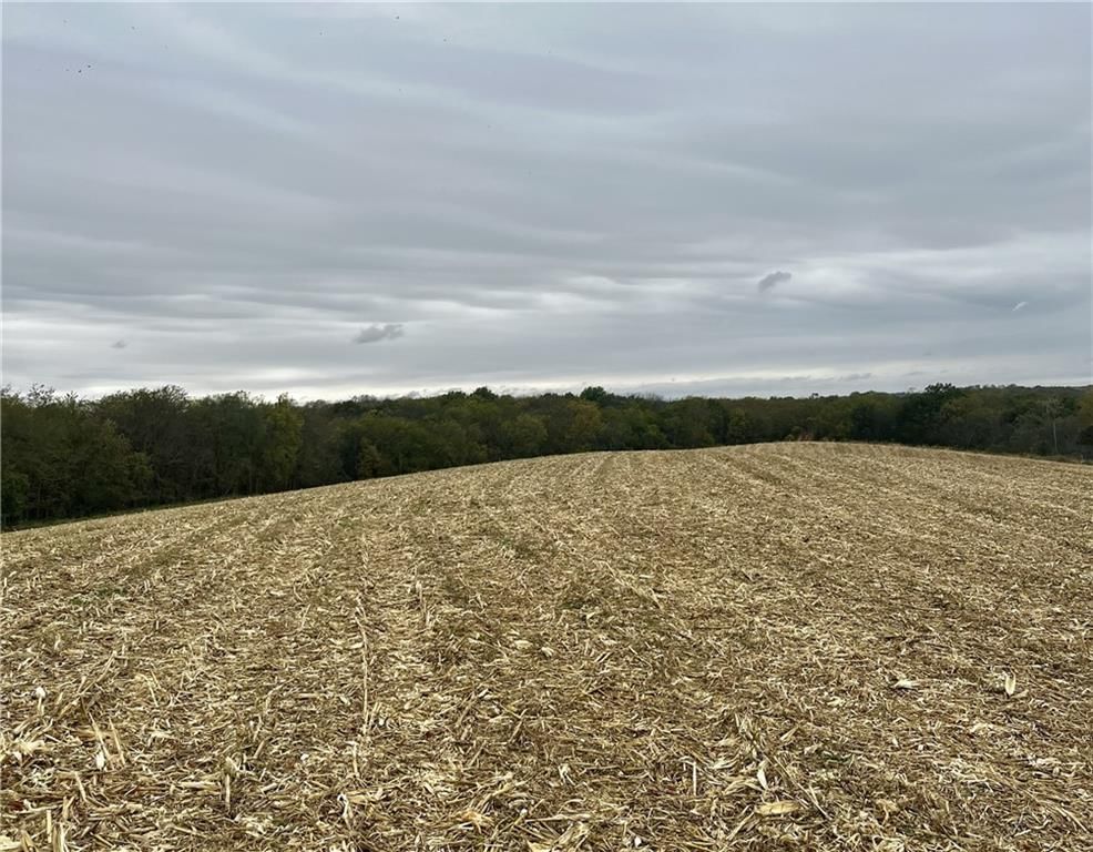 Tract 2 County Road 422 Road — photo 7