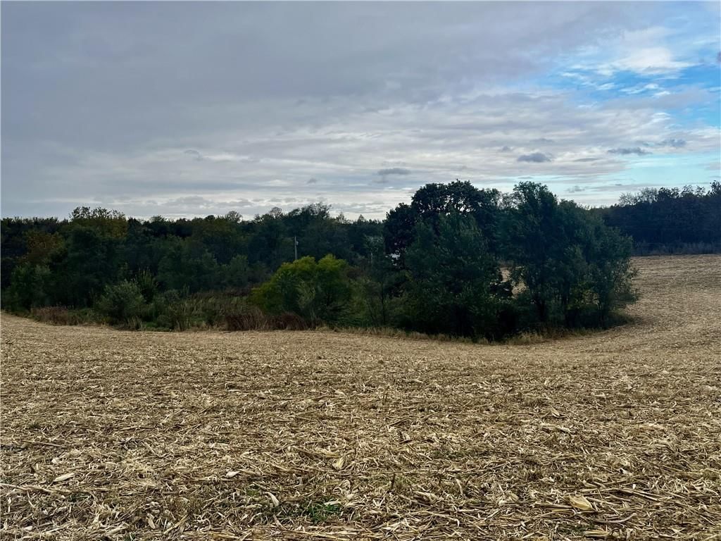 Tract 2 County Road 422 Road — photo 10