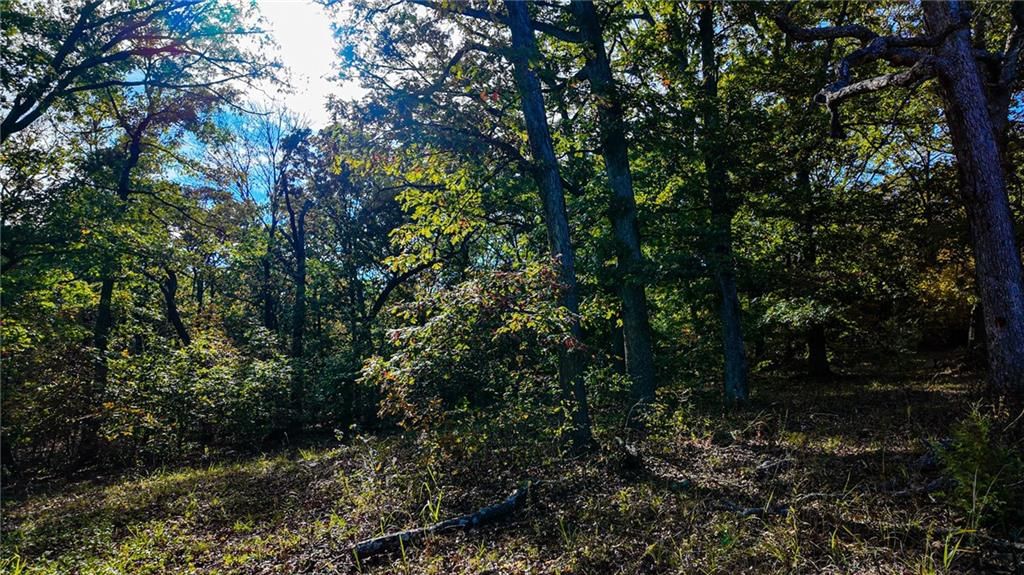 641 NE 175 Road — photo 7