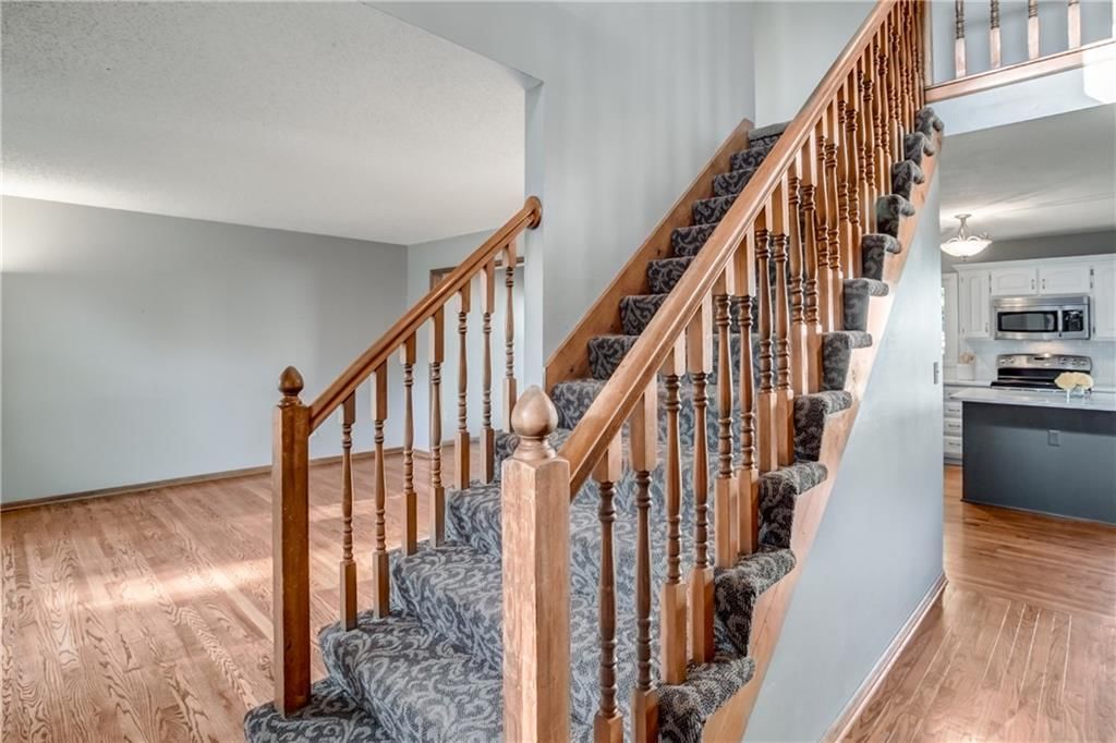 12426 S Mullen Circle — photo 5