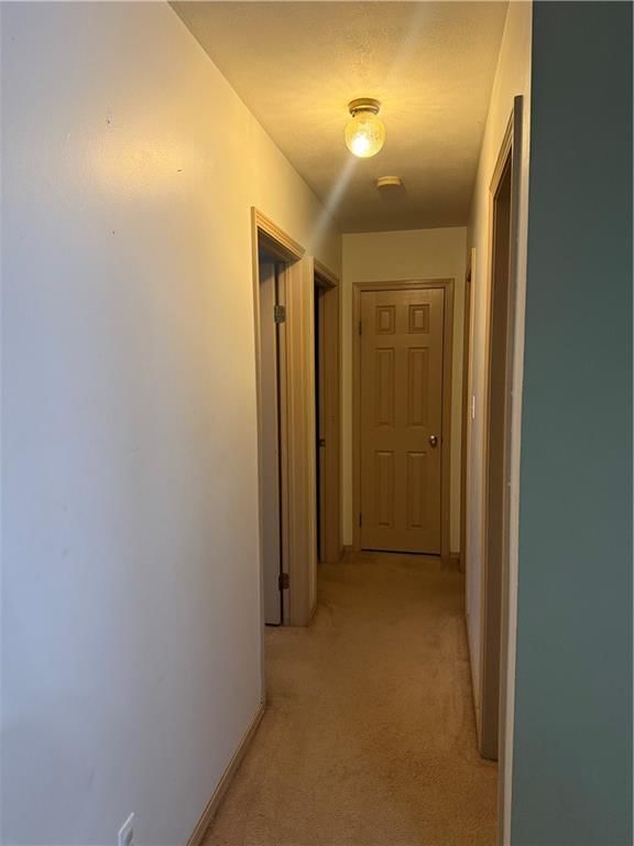 305 Gibson Street — photo 10