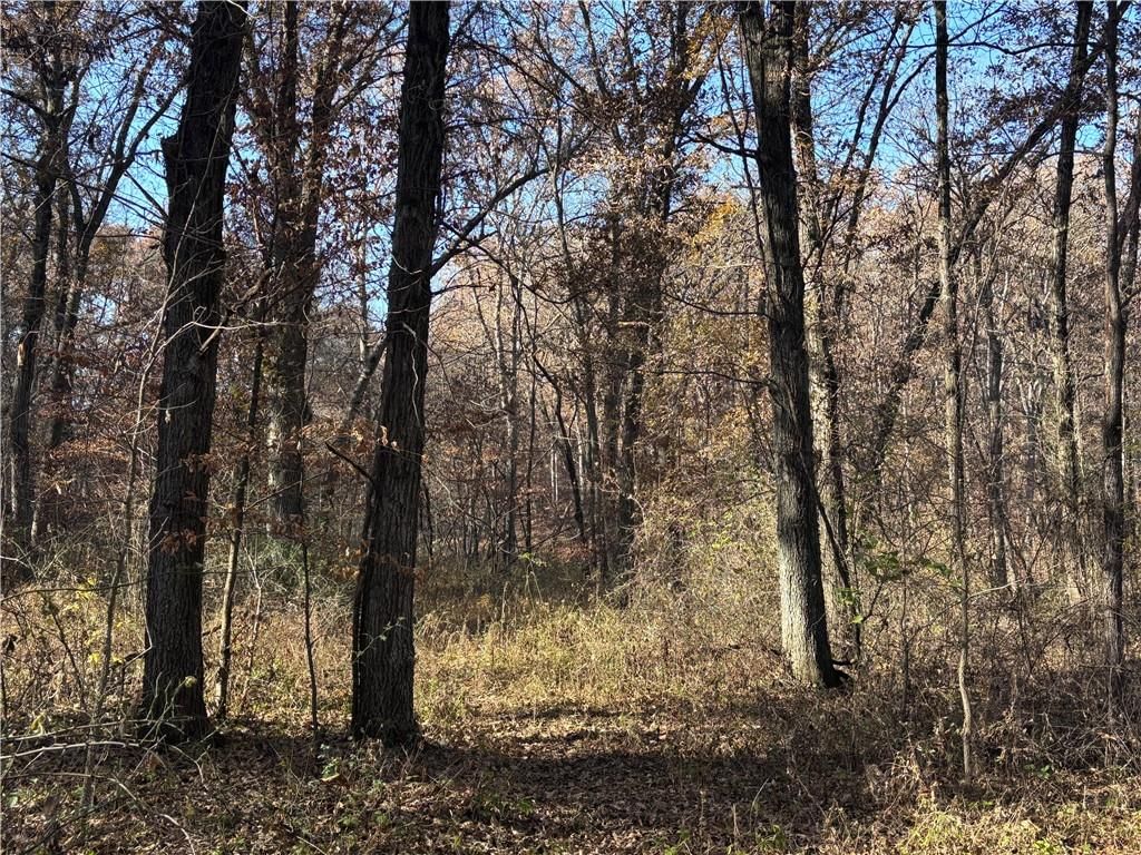 51500 River Road — photo 3