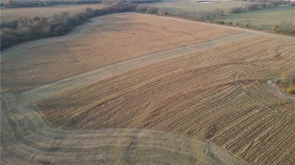 710 SE State Hwy PP — photo 14