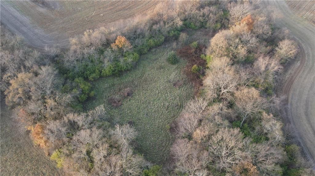 710 SE State Hwy PP — photo 17