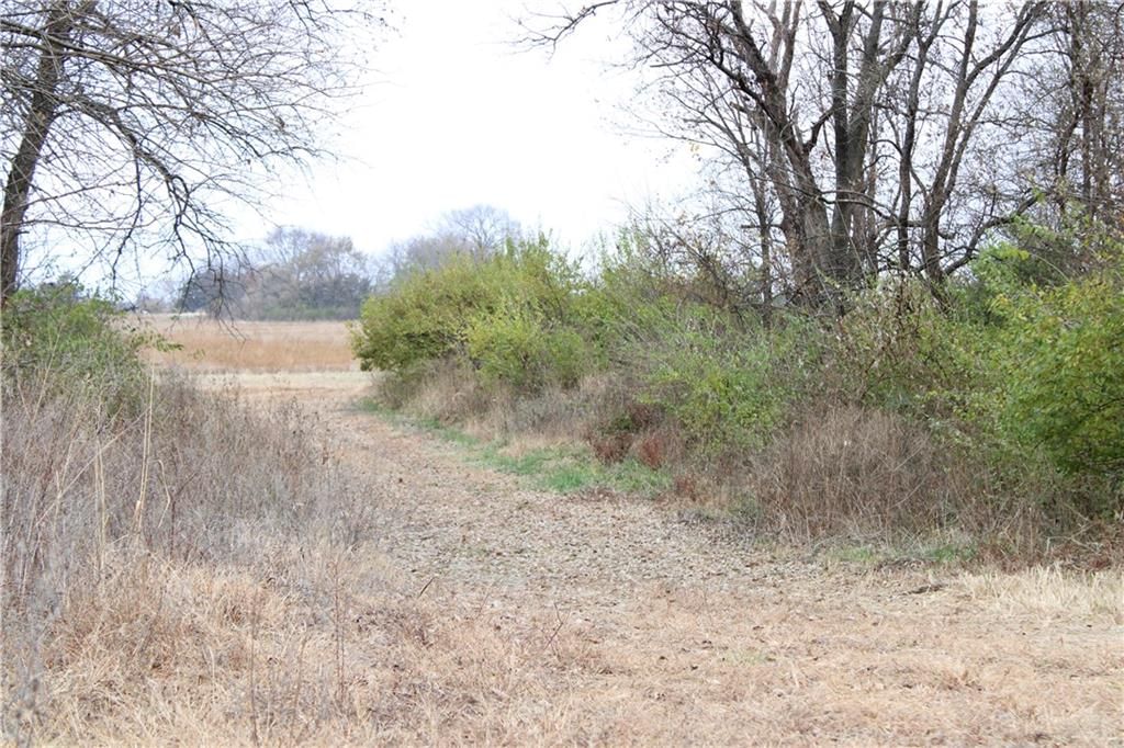 710 SE State Hwy PP — photo 23