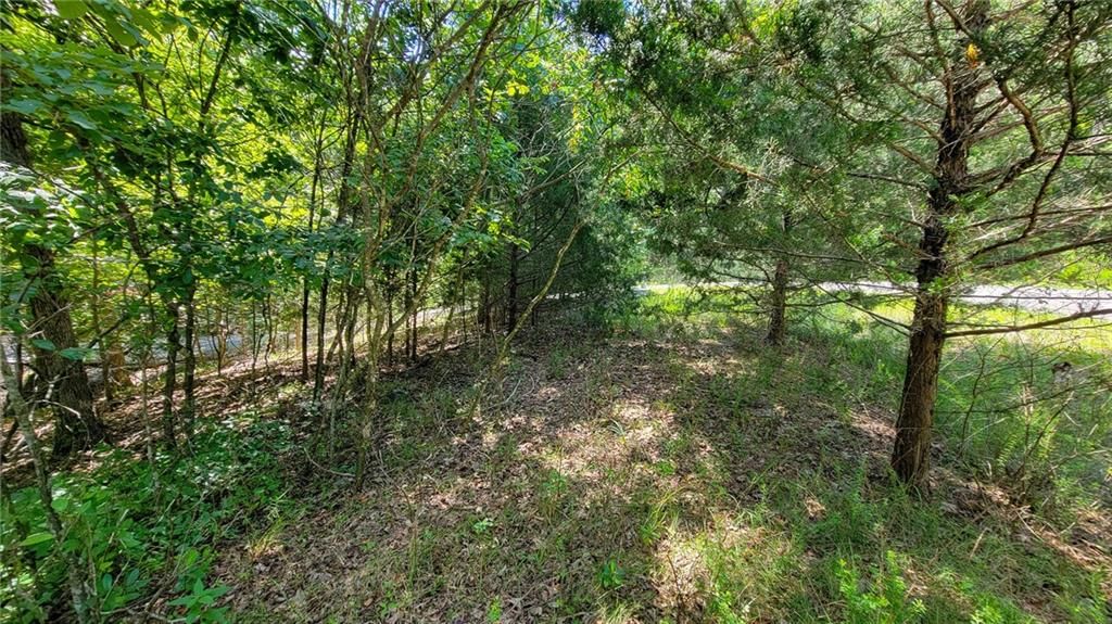 Lot #866 Grand Cypress Court — photo 9