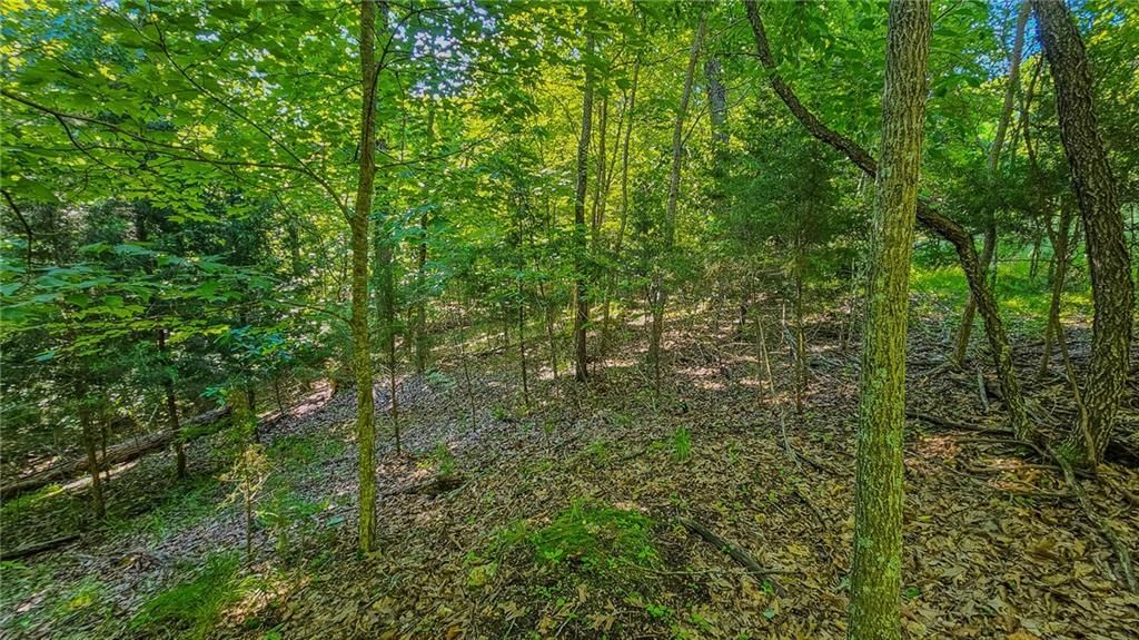 Lot #862 Grand Cypress Court — photo 8