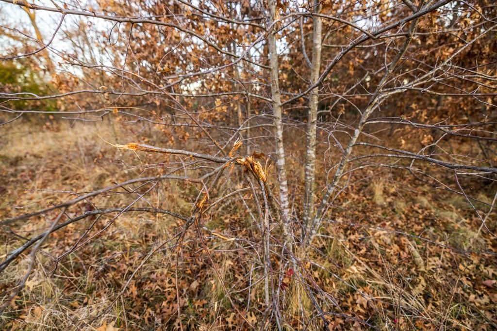 NW B Highway — photo 24