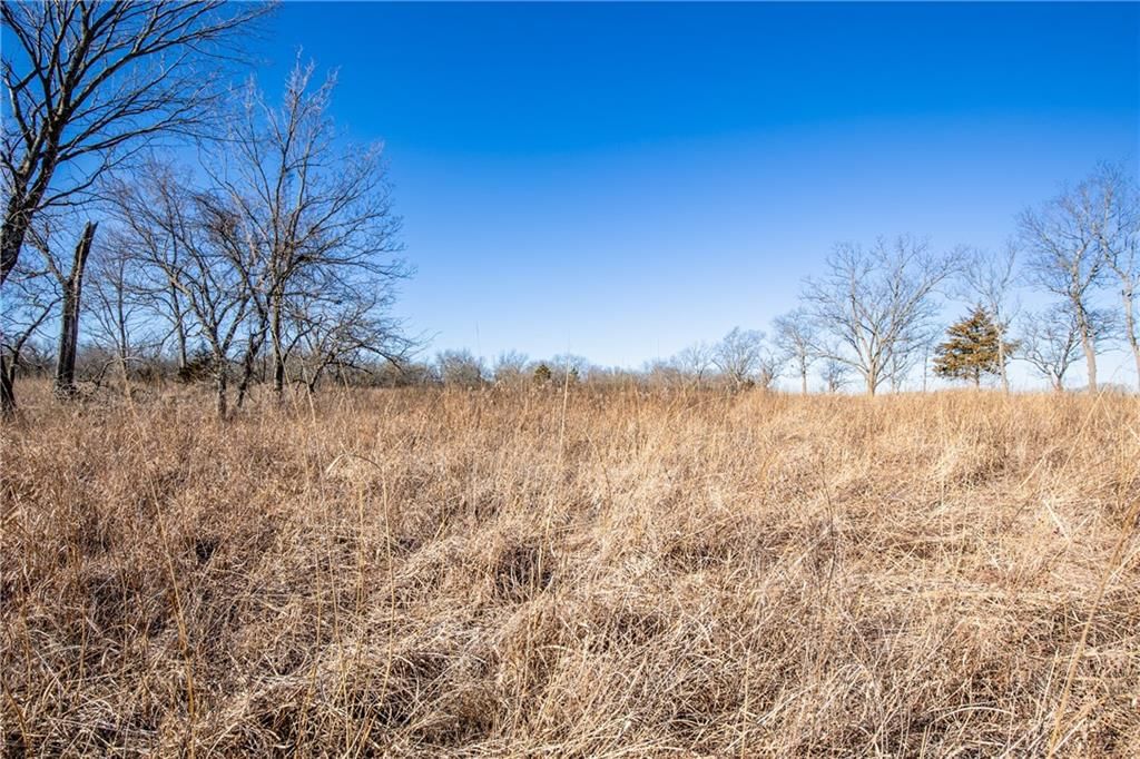 00001 Scott Road — photo 23