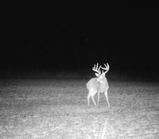 00001 Scott Road — photo 45