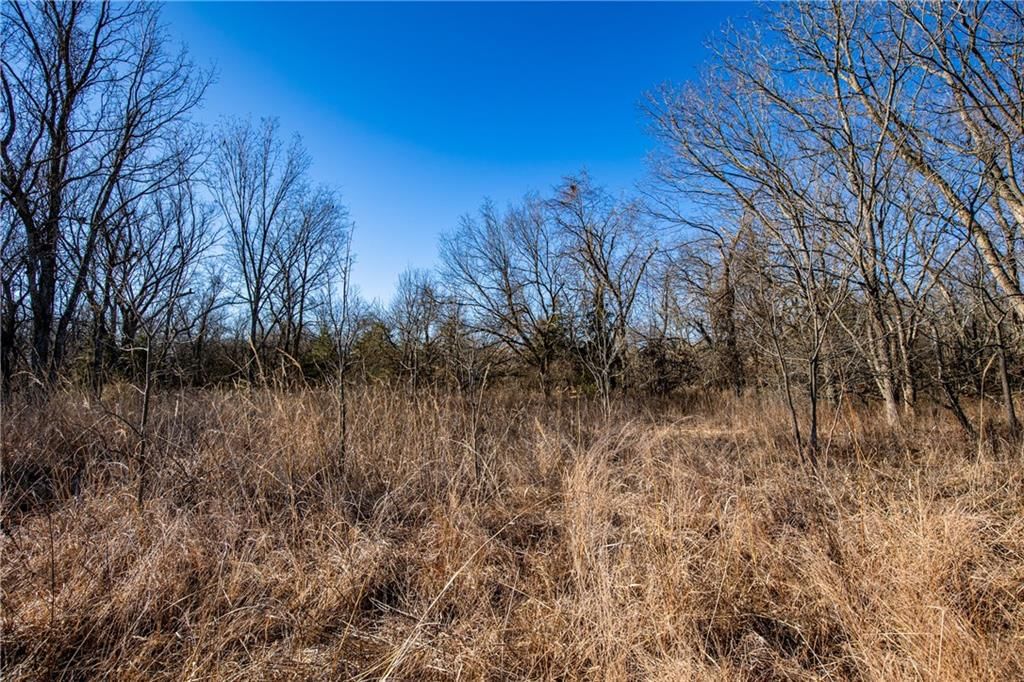 00001 Scott Road — photo 6