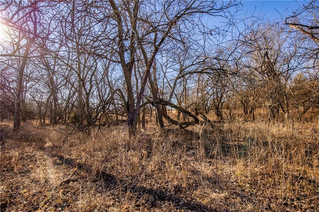 00001 Scott Road — photo 7