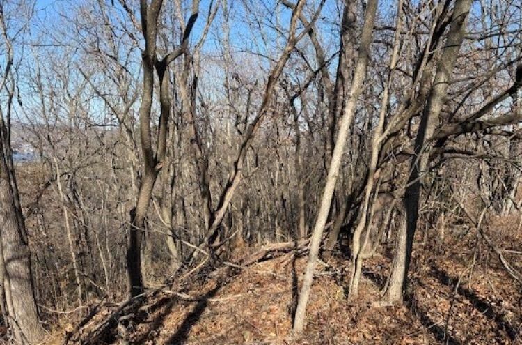 Chimney Rock Road — photo 20