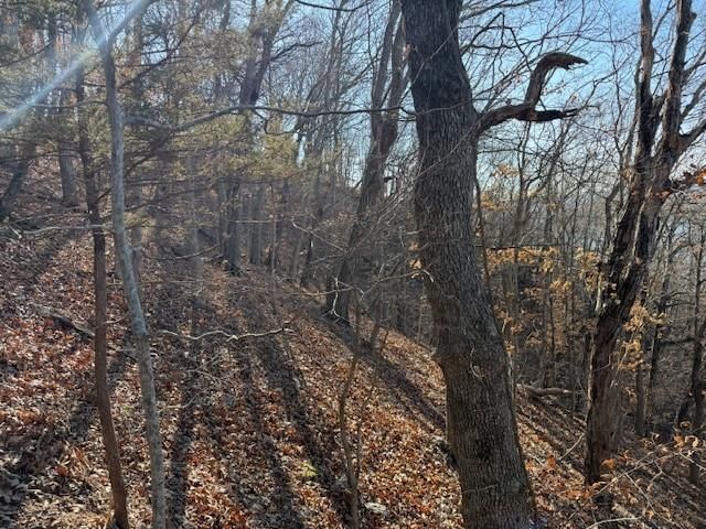 Chimney Rock Road — photo 6