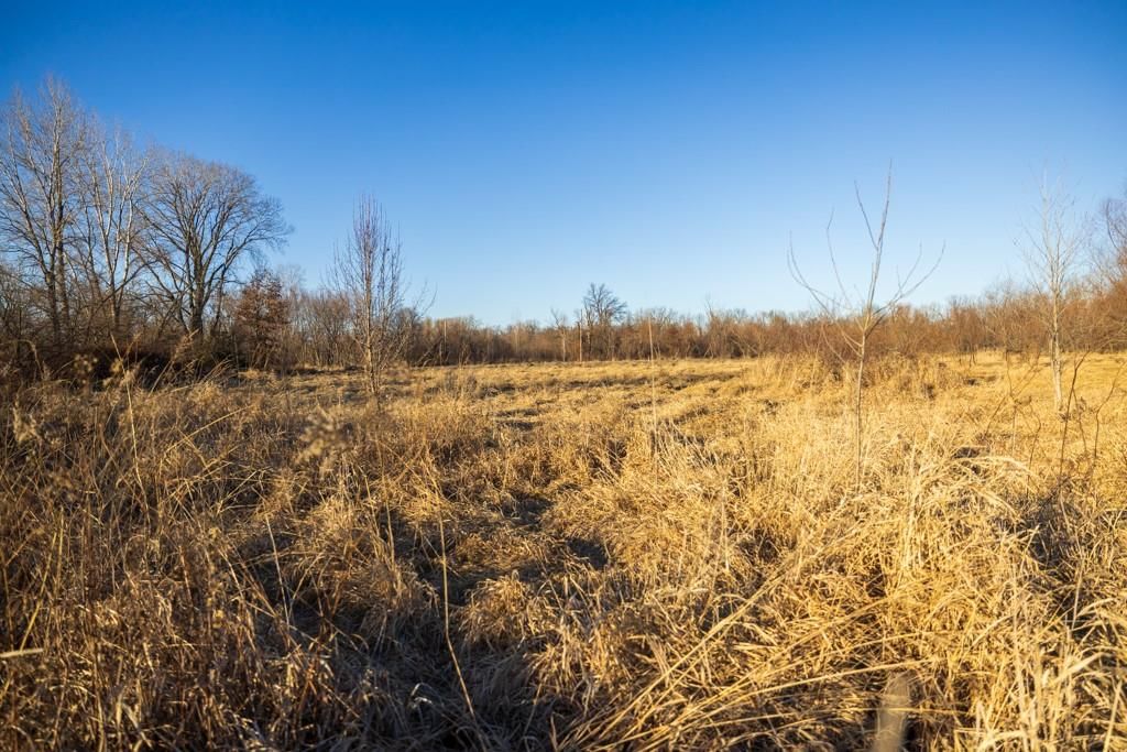 41 Acres S Pryor Road — photo 60