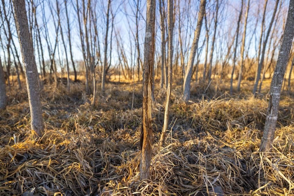 41 Acres S Pryor Road — photo 61