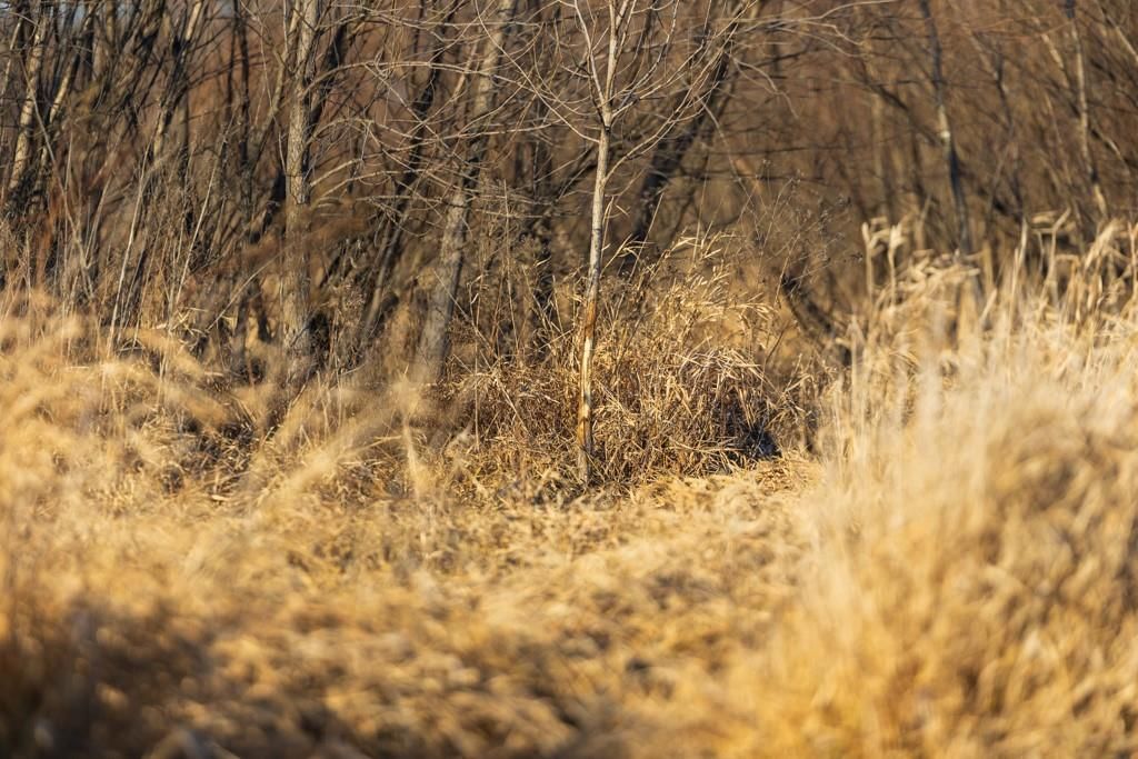 41 Acres S Pryor Road — photo 76