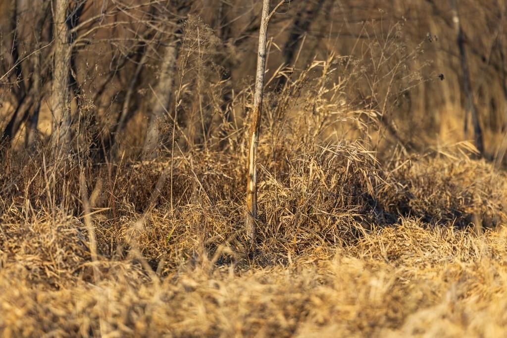 41 Acres S Pryor Road — photo 77