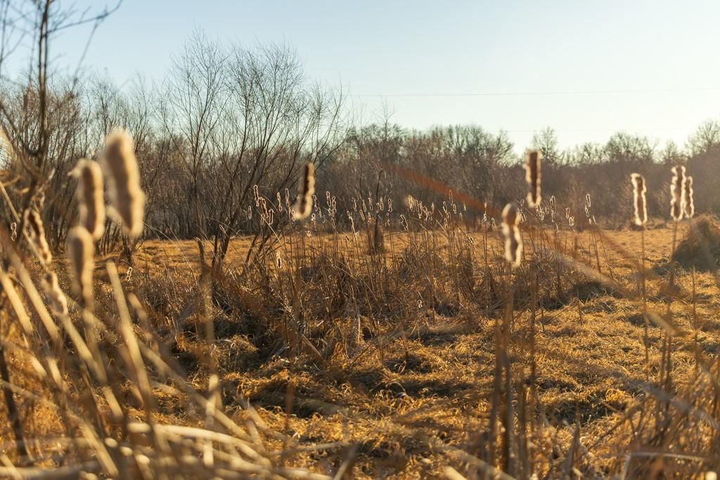 41 Acres S Pryor Road — photo 80