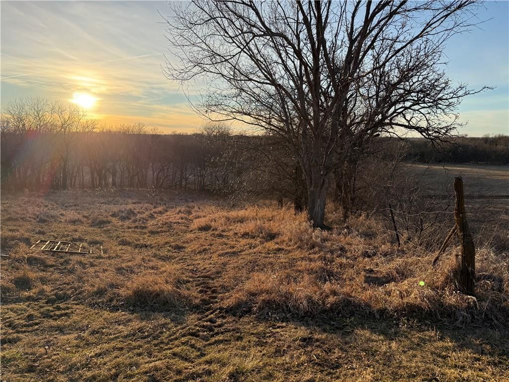 Nighthawk Road — photo 4