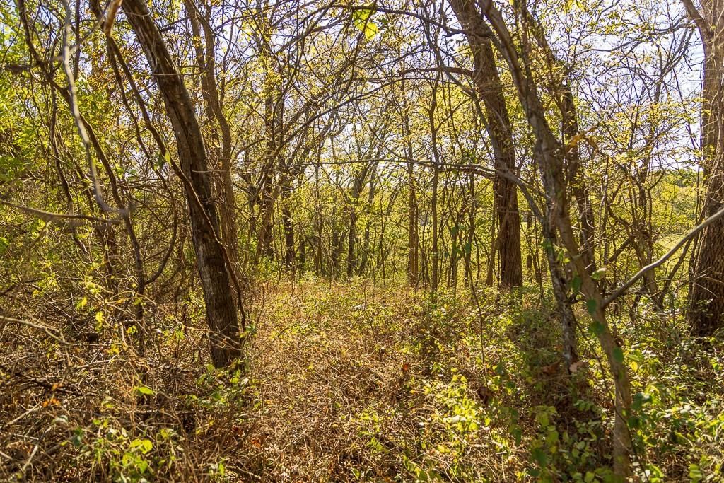 Tract 1 Highway OO Highway — photo 36