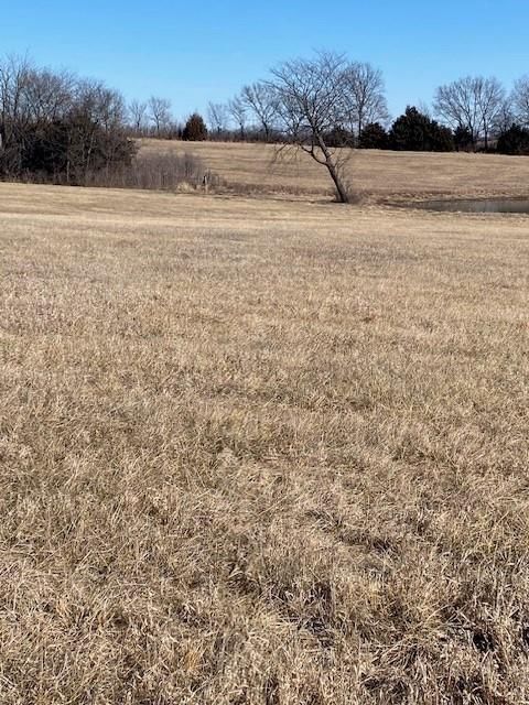 00000 Springdale Road — photo 2