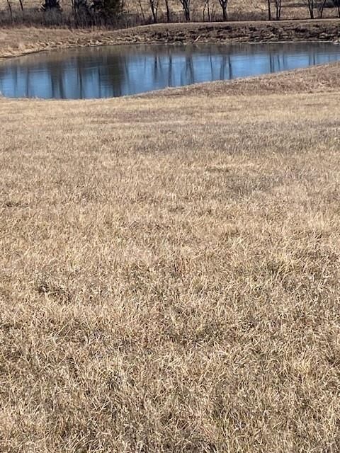 00000 Springdale Road — photo 4