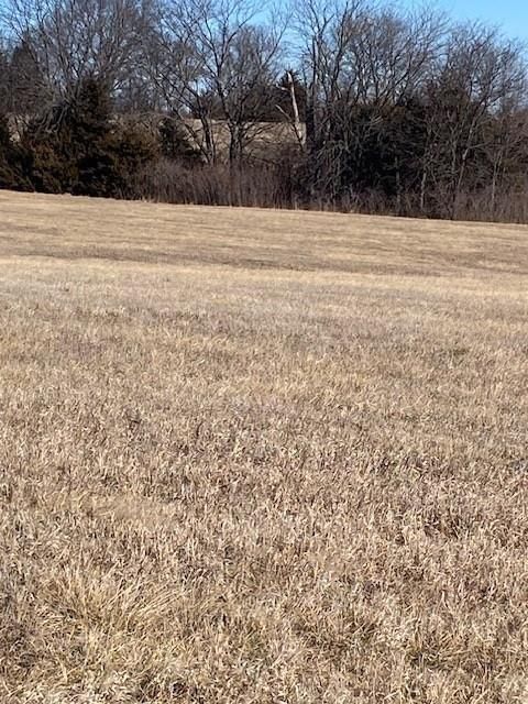 00000 Springdale Road — photo 5
