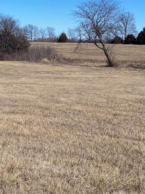 00000 Springdale Road — photo 7