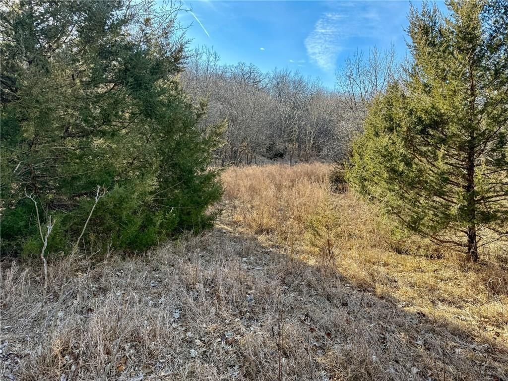 0000 Gilsen Creek Road — photo 86