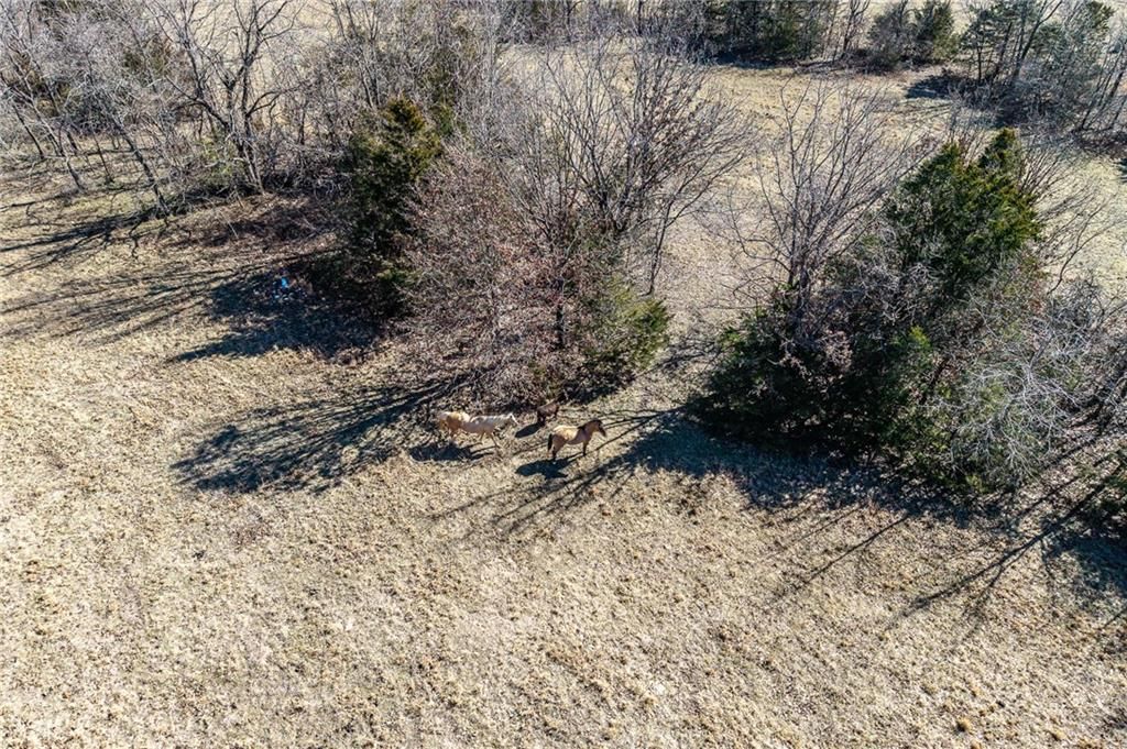 28345 Sapphire Drive — photo 59