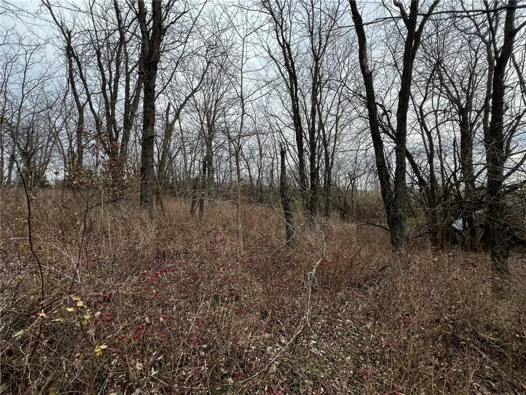 TBD J Highway — photo 5