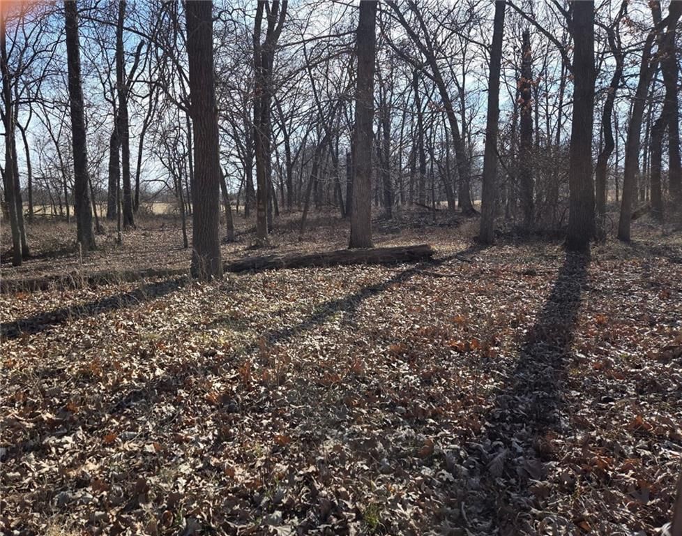 Tract A NW County Road 17402 — photo 2