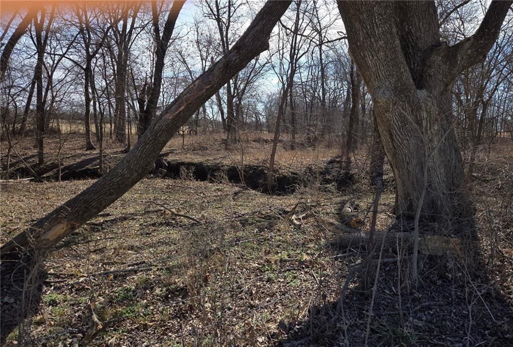 Tract A NW County Road 17402 — photo 3