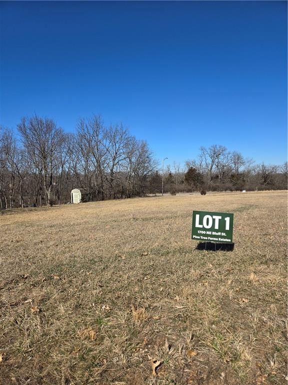 1700 NE Bluff Street, Lee's Summit, MO