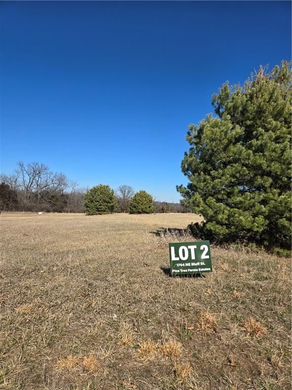 1704 NE Bluff Street, Lee's Summit, MO