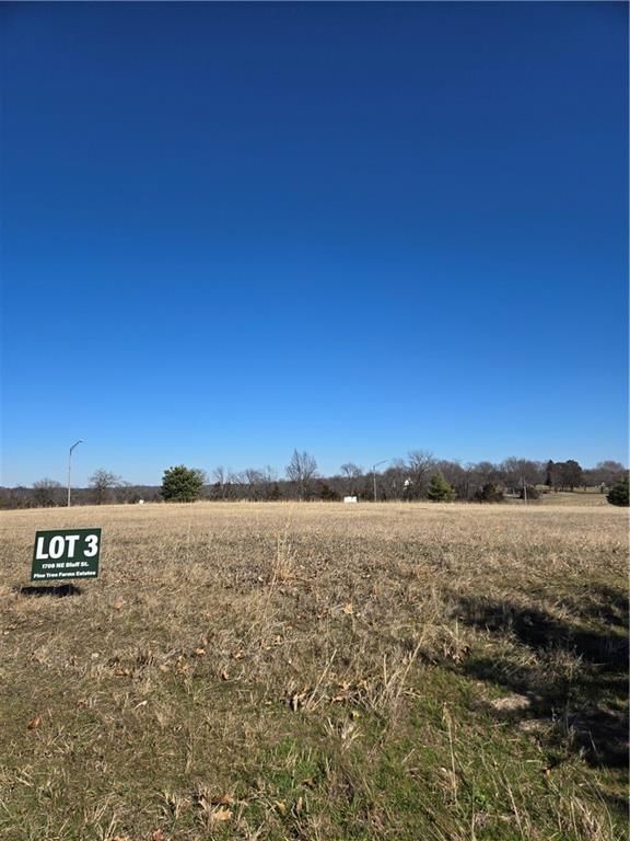 1708 NE Bluff Street, Lee's Summit, MO