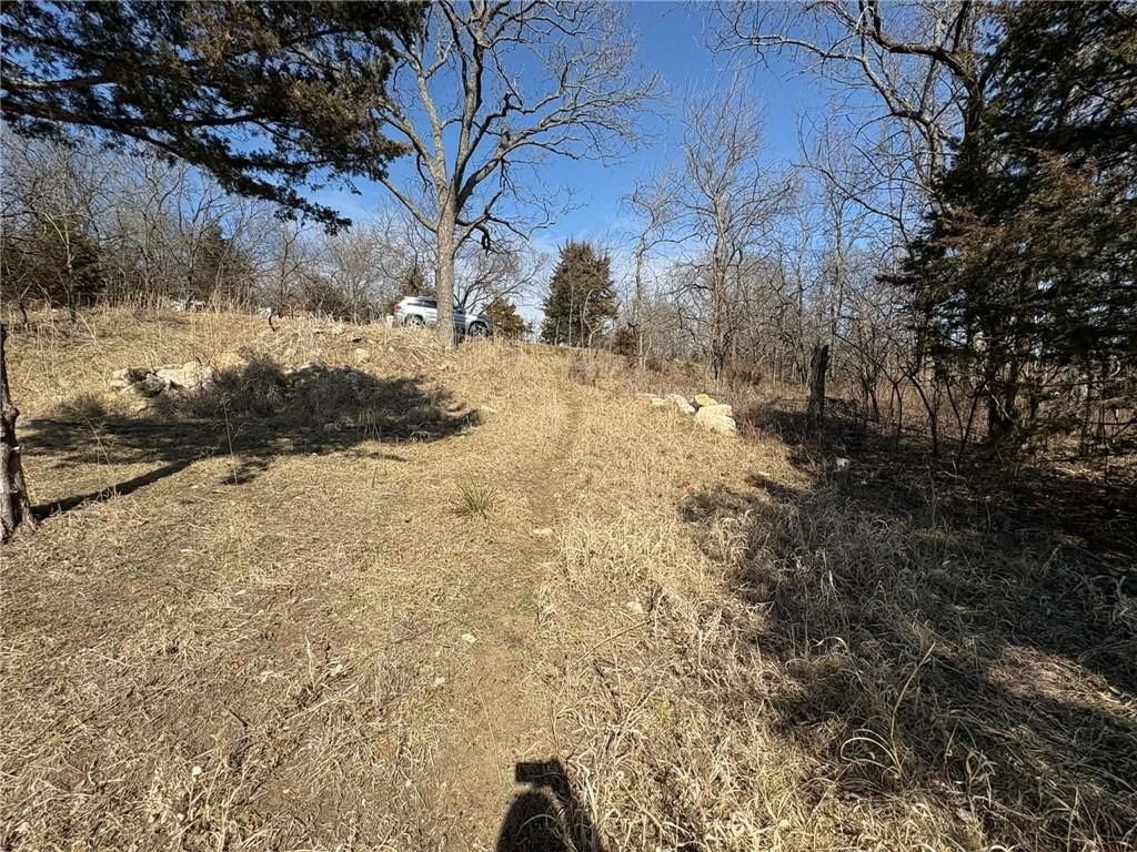 38 Cedar Drive — photo 4