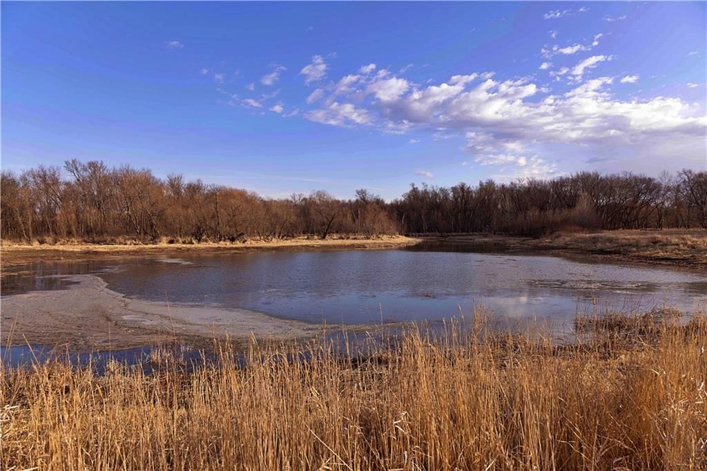 21195 Edgerton Junction Road — photo 31